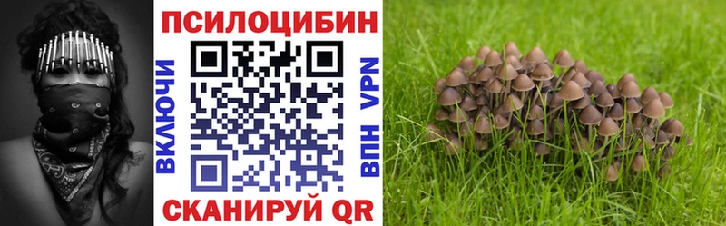 Псилоцибиновые грибы Cubensis Дедовск